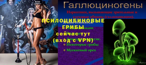 гидропоника Вяземский
