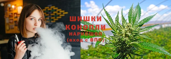 гидропоника Вяземский