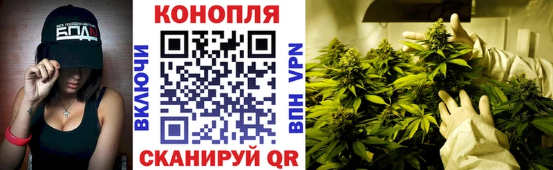 Бошки Шишки семена  Купить  Омск 